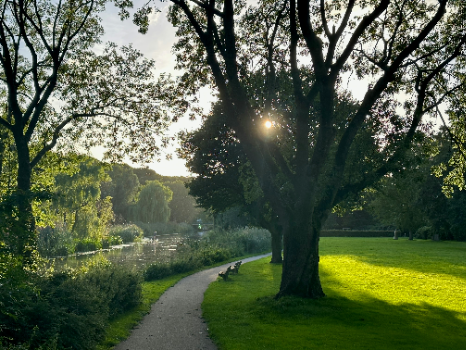 Accountmanager Groen