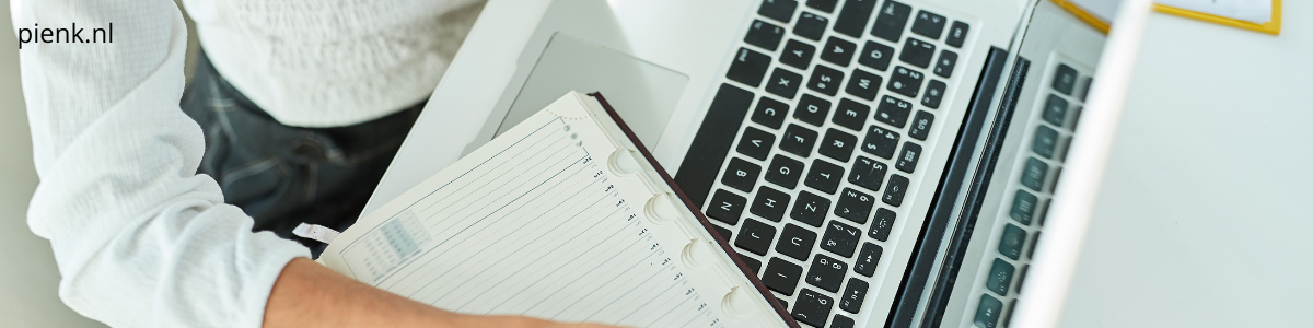 Interim Team Lead Assistants (Executive level) | 36 - 40 uur