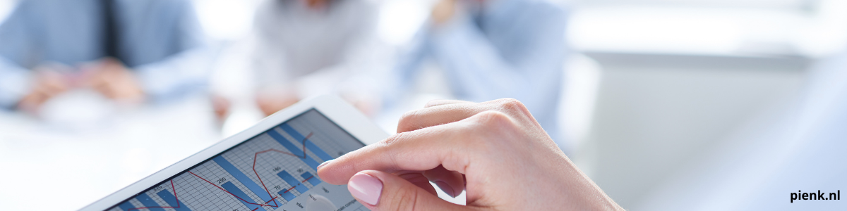 Finance Professional (hybride functie met groeipad)