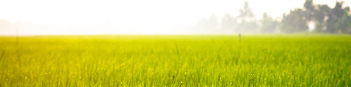 Financieel Medewerker | € 3.900,- p/m | Groen- en tuinbranche