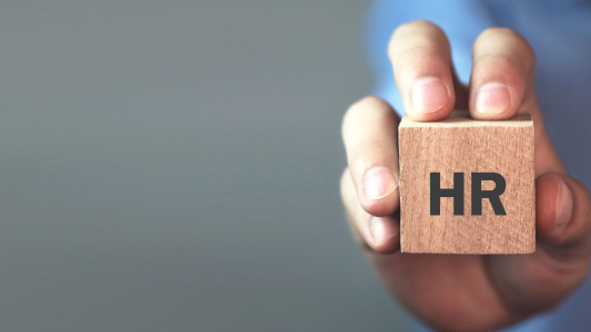 HR Consultant | Generalist & Teamplayer
