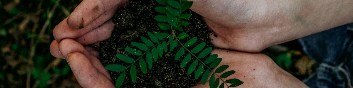 Accountmanager buitendienst |  Bonus |  Salaris tot €3.500,- per maand